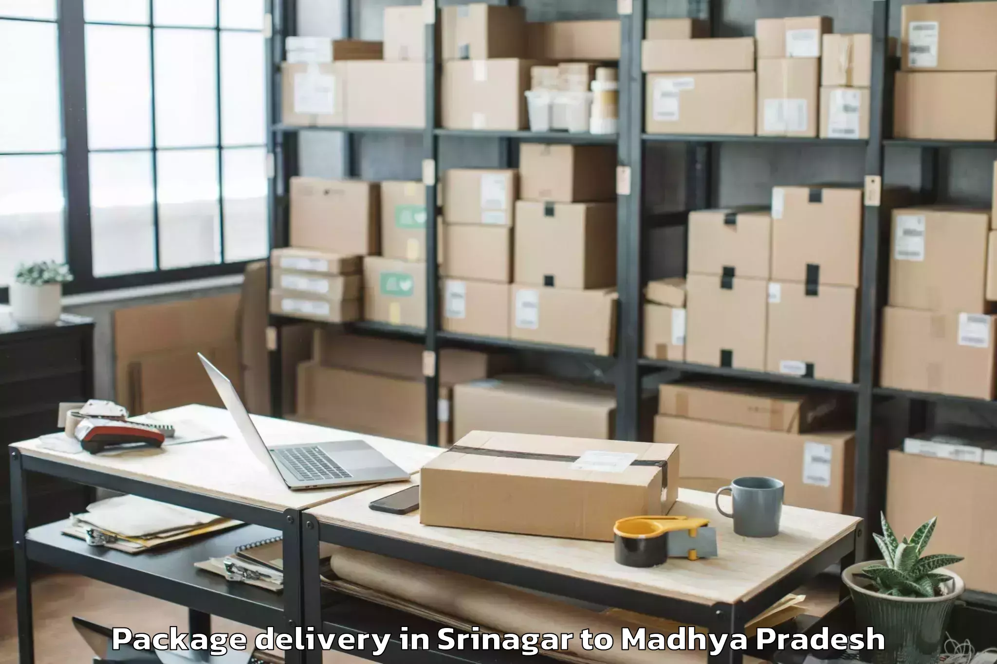 Book Srinagar to Madhyanchal Professional Unive Package Delivery Online